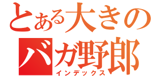 とある大きのバガ野郎（インデックス）