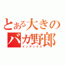 とある大きのバガ野郎（インデックス）