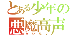 とある少年の悪魔高声（かいせい）