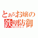 とあるお嬢の鉄壁防御（カリスマガード）