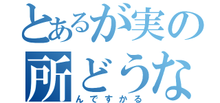 とあるが実の所どうな（んですかる）