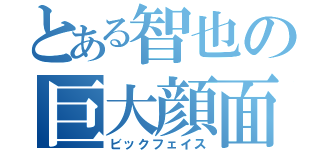 とある智也の巨大顔面（ビックフェイス）