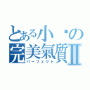 とある小雞の完美氣質Ⅱ（パーフェクト）