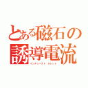 とある磁石の誘導電流（インデュースド　カレント）