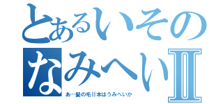 とあるいそのなみへいⅡ（あ…髪の毛Ⅱ本はうみへいか）