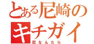 とある尼崎のキチガイ（尼なんたら）