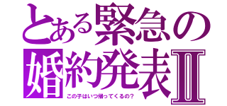 とある緊急の婚約発表Ⅱ（この子はいつ帰ってくるの？）