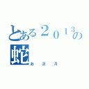 とある２０１３年の蛇（お正月）