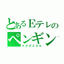 とあるＥテレのペンギンズ（マダガスカル）