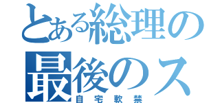 とある総理の最後のステイホーム（自宅軟禁）