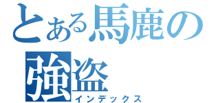 とある馬鹿の強盗（インデックス）