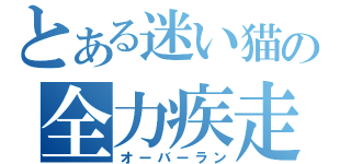 とある迷い猫の全力疾走（オーバーラン）