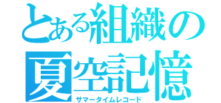 とある組織の夏空記憶（サマータイムレコード）