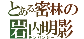 とある密林の岩内明影（チンパンジー）