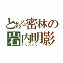 とある密林の岩内明影（チンパンジー）