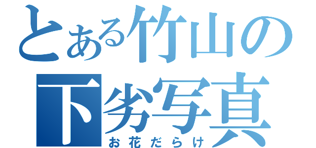 とある竹山の下劣写真（お花だらけ）