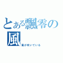 とある飄零の風（風が吹いている）