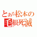 とある松本の毛根死滅（ハゲ）