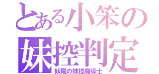 とある小笨の妹控判定（妖尾の妹控魔導士）