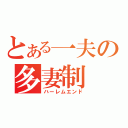 とある一夫の多妻制（ハーレムエンド）