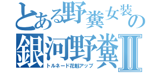 とある野糞女装の銀河野糞Ⅱ（トルネード花魁アップ）