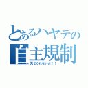 とあるハヤテの自主規制（見せられないよ！！）