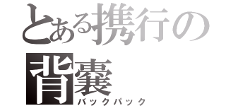 とある携行の背嚢　（バックパック）