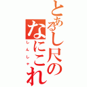 とあるし尺のなにこれ（しんしゃ）