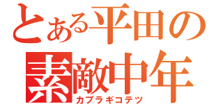 とある平田の素敵中年（カブラギコテツ）