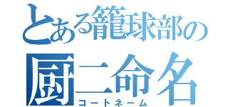 とある籠球部の厨二命名（コートネーム）