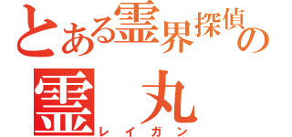 とある霊界探偵の霊　丸（レイガン）