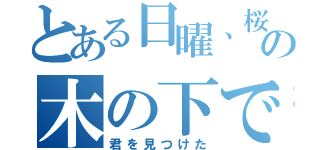 とある日曜、桜の木の下で（君を見つけた）