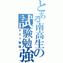 とある南高生の試験勉強（テスト勉強）