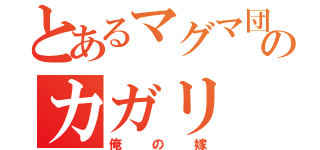 とあるマグマ団のカガリ（俺の嫁）