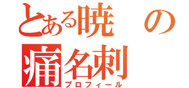 とある暁の痛名刺（プロフィール）