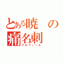 とある暁の痛名刺（プロフィール）