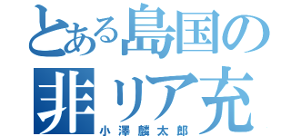 とある島国の非リア充（小澤麟太郎）