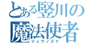 とある竪川の魔法使者（リュウノスケ）