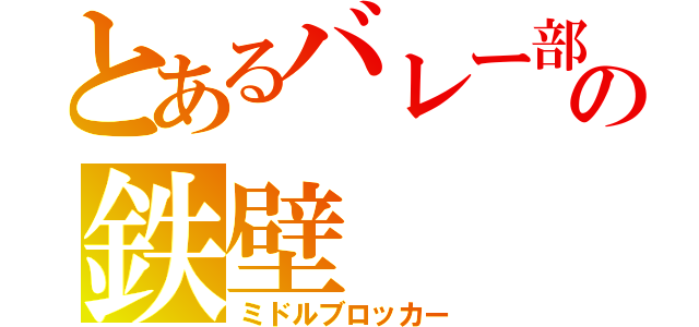 とあるバレー部の鉄壁（ミドルブロッカー）