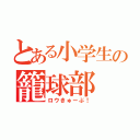 とある小学生の籠球部（ロウきゅーぶ！）