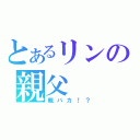 とあるリンの親父（親バカ！？）