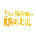 とある庭球部の大顔北瓜（パンプキン）