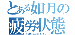 とある如月の疲労状態（もう疲れたよパトラッシュ…）