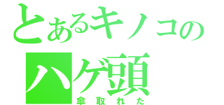 とあるキノコのハゲ頭（傘取れた）