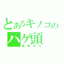 とあるキノコのハゲ頭（傘取れた）