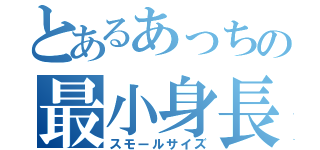 とあるあっちの最小身長（スモールサイズ）