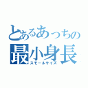 とあるあっちの最小身長（スモールサイズ）