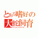 とある嗜好の大蛇飼育（アミメニシキヘビ）