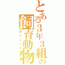 とある３年３組の飼育動物（謎のゴリラ）