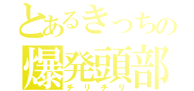 とあるきっちの爆発頭部（チリチリ）